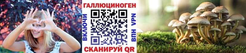Псилоцибиновые грибы мицелий Лосино-Петровский