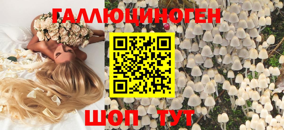 Псилоцибиновые грибы Magic Shrooms Лосино-Петровский