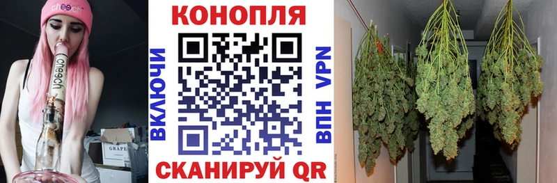 наркошоп  Лосино-Петровский  МАРИХУАНА OG Kush 